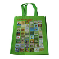 四川LB11覆膜无纺布广告袋